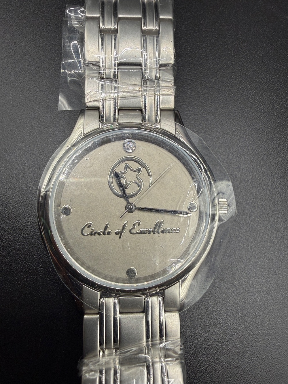 Swiss Made Circle of Excellence Corporate Stainless Steel Watch – Elegant